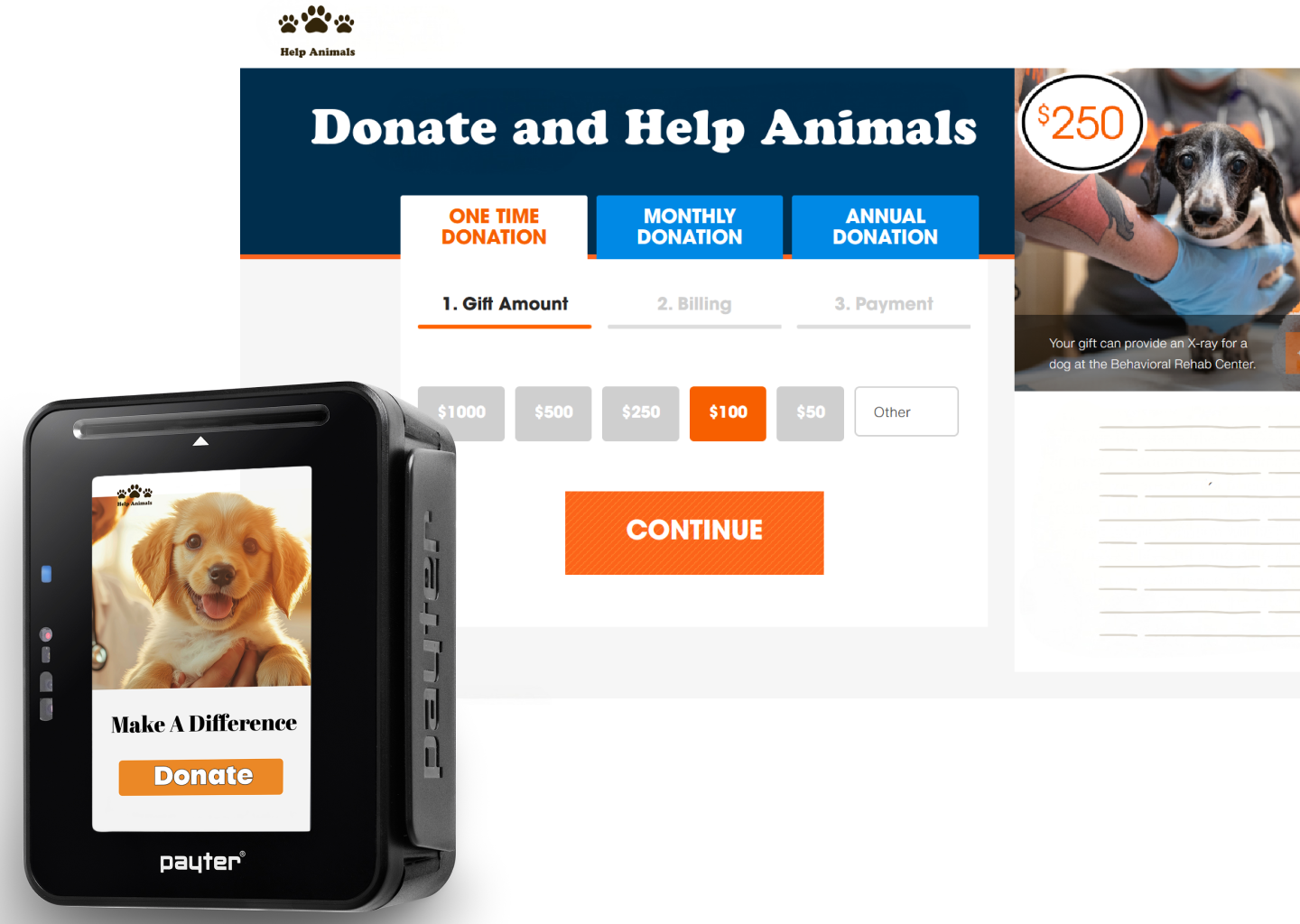 A Cashless Custom Donorbox for Animal Lovers